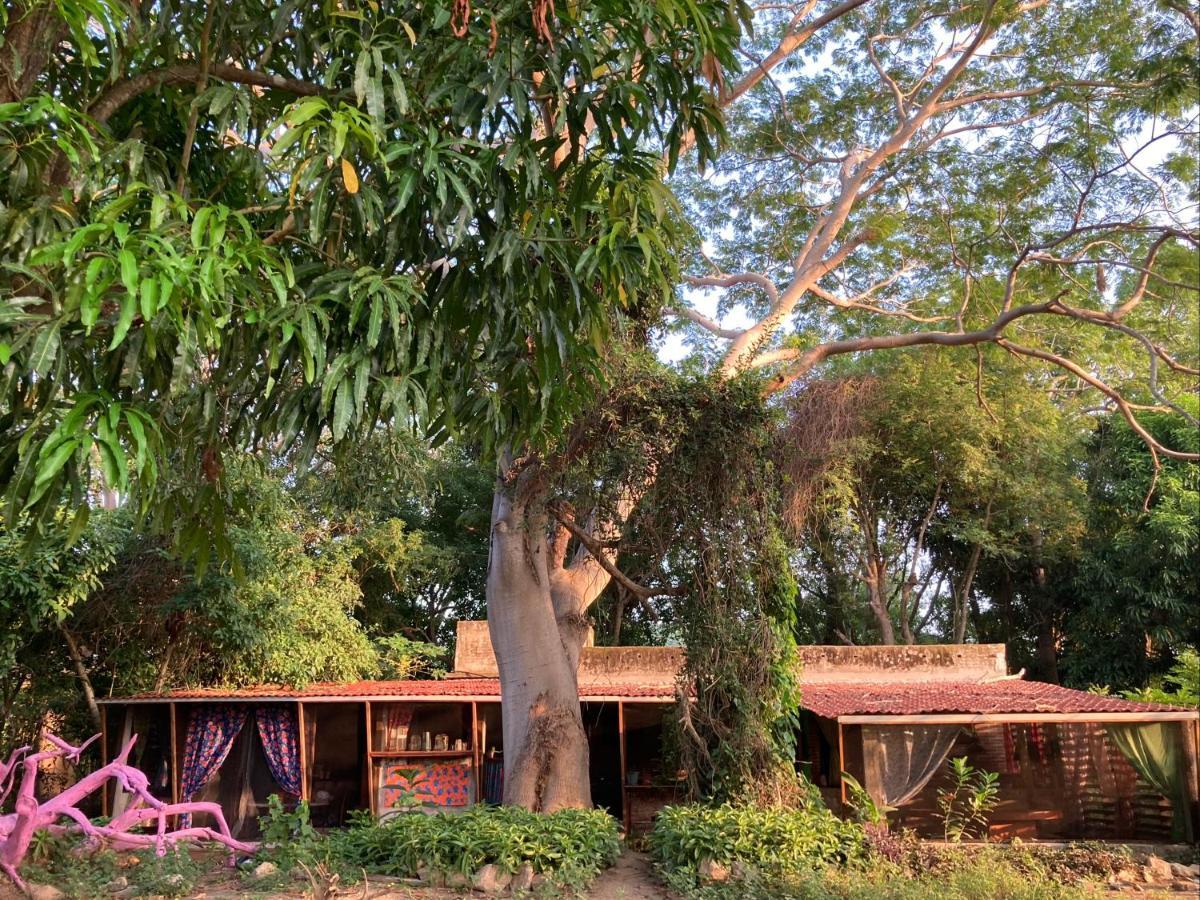 Planta Glamp Farm Otel Santa María Huatulco Dış mekan fotoğraf
