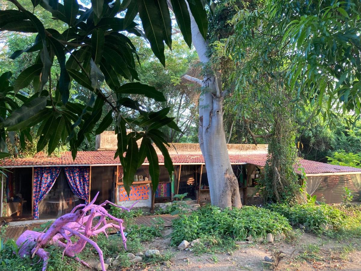 Planta Glamp Farm Otel Santa María Huatulco Dış mekan fotoğraf